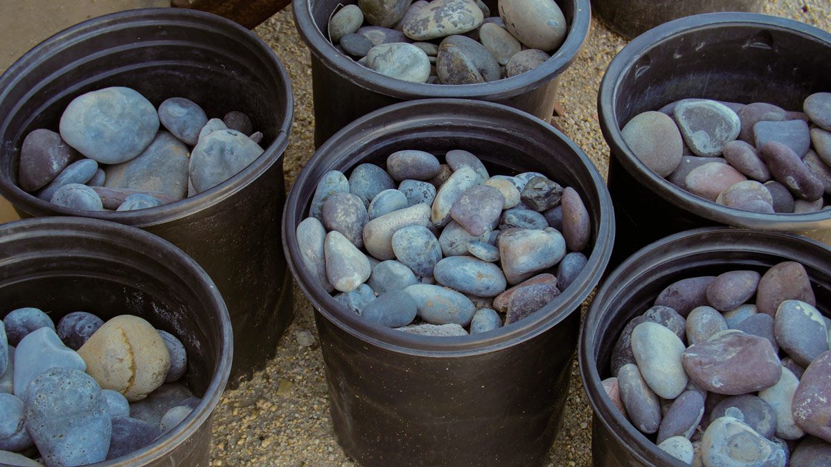 Rounded rocks in plastic pots