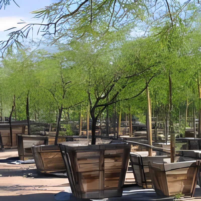 Trees in wooden planters under blue sky