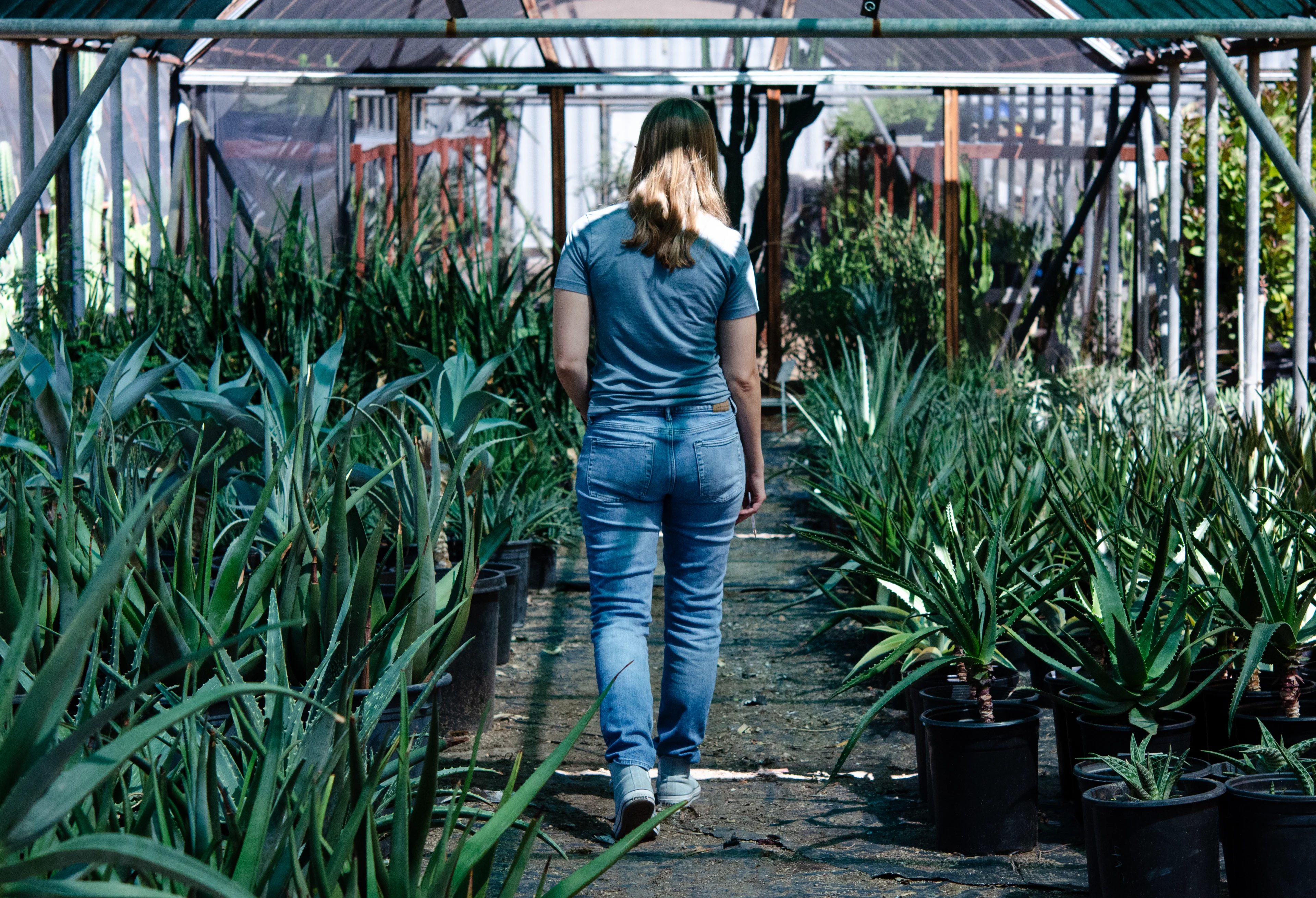 Woman walking through a greenhouse filled with potted plants, with a shed at the top of the image
