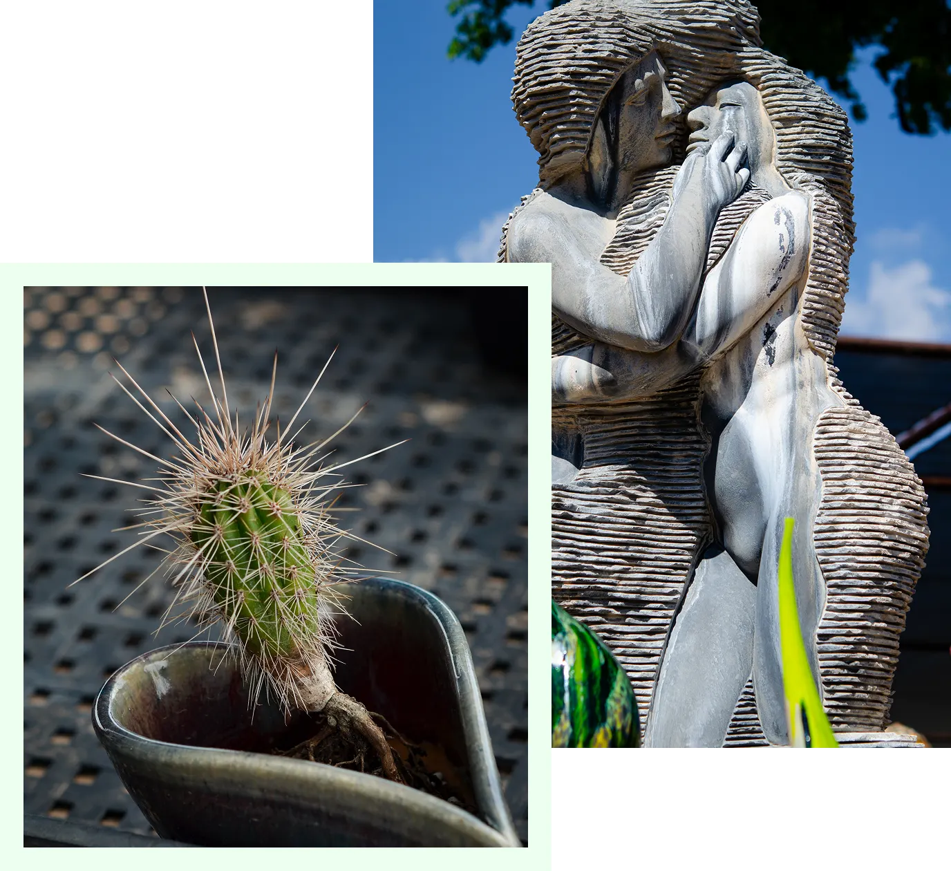 Sculpture of a woman holding a cactus in a pot, with a tree in the background and a sky